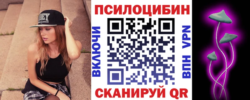 Псилоцибиновые грибы Cubensis  как найти закладки  Бологое 