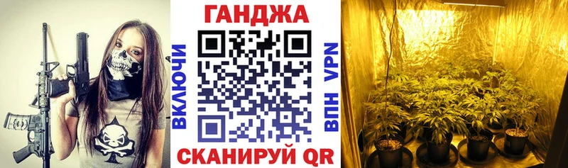 Конопля планчик Бологое